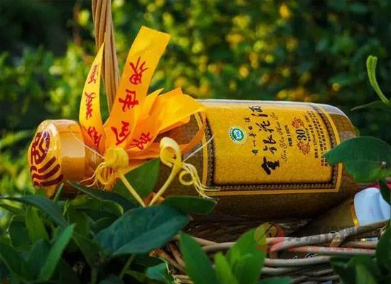 金银花酒怎么样金银花酒的制作方法有哪些