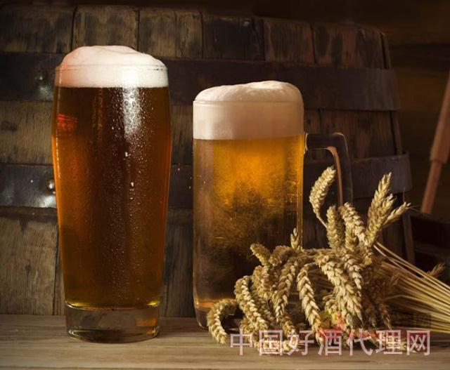 小麦啤酒和大麦啤酒哪个好喝?有什么区别?