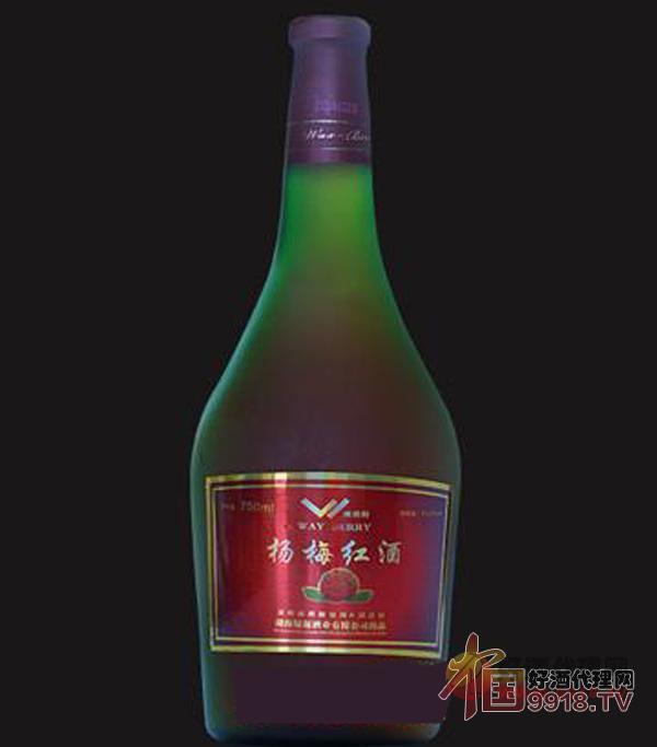 湖南绿源酒业杨梅红酒好喝吗