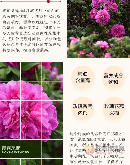 予花予尚玫瑰酒