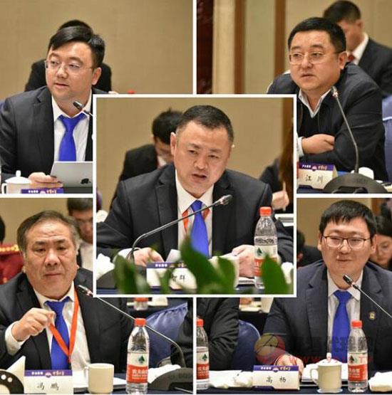 顾问团成员自由发言
