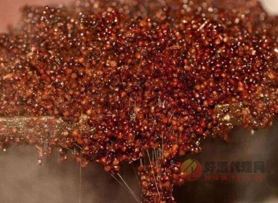 茅台镇酱香酒酿造环境