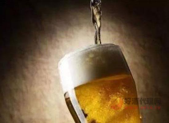 澳斯卡精酿白啤酒
