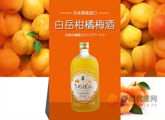 白岳柑橘梅酒