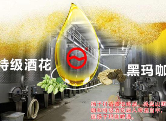 扬子玛咖啤酒