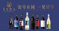 深圳前海优意佳国际贸易有限公司