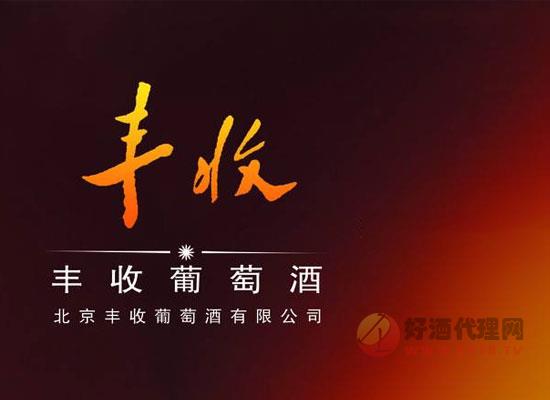 丰收葡萄酒带你爱上洋葱红酒