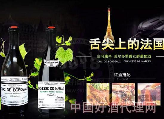 红酒代理:法国进口红酒"白马康帝"和"诺波特"带你揽百万商机!