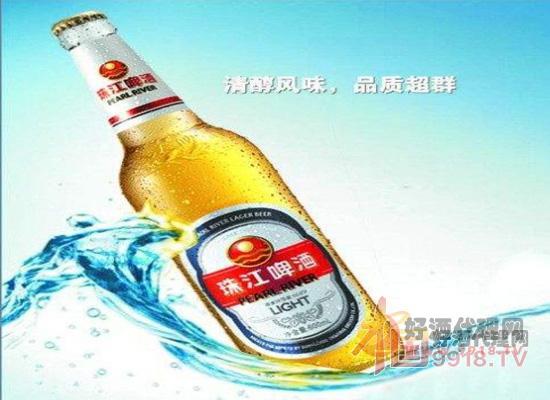 珠江啤酒怎麼樣珠江啤酒代理優缺點深度解析