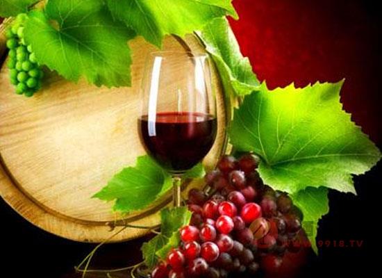 葡萄酒为什么要窖藏，葡萄酒窖藏寿命能持续多久