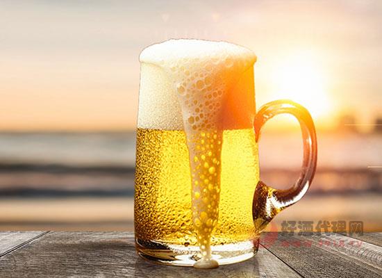 啤酒花在啤酒中的作用，为什么啤酒花很重要