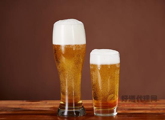 啤酒和白酒的區別，啤酒有哪些種類