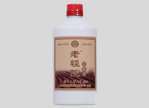 山东老轻院酒业有限公司招商支持政策