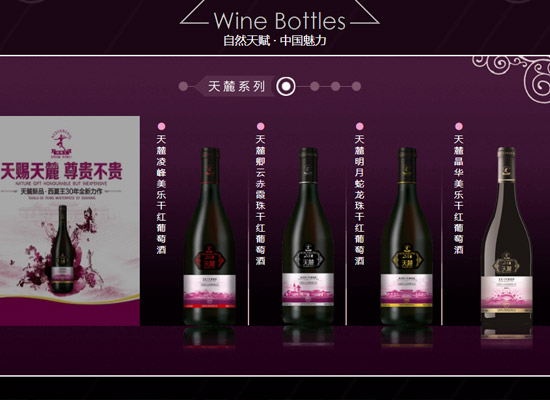 宁夏西夏王葡萄酒业有限公司荣誉典范