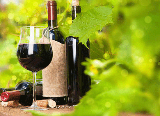 葡萄酒加盟怎么做 山东蝴蝶谷酒业来帮助