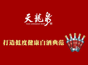 广西天龙泉酒业营销有限公司