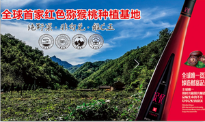 洛阳君山红酒业有限公司