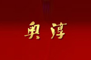 内蒙古奥淳酒业有限责任公司