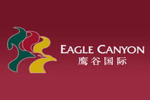 鹰谷酒业国际有限公司