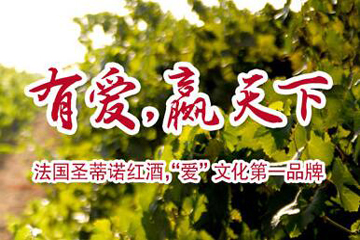南京圣蒂诺葡萄酒有限公司