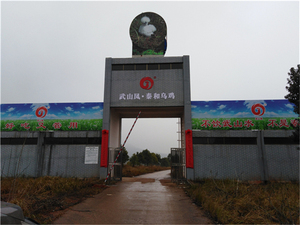 泰和县武山凤酒业有限公司