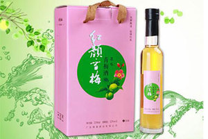 广东璞真酒业有限公司