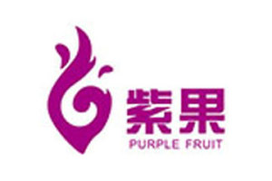 上海紫果国际贸易有限公司