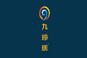 九玲珑（河南）企业管理咨询有限公司
