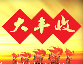 吉林大丰收酒业有限公司
