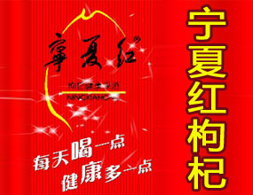 宁夏红枸杞产业集团公司