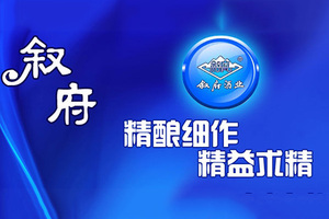 叙府酒业有限公司—一举成名酒