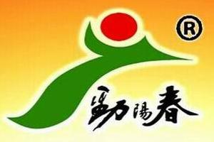 河南劲阳春酒业有限公司