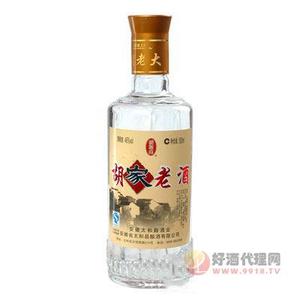 太和殿胡家老酒-尊500ml