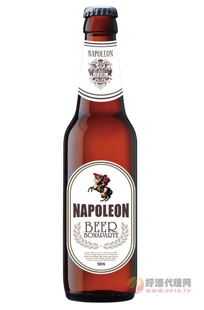 拿破仑啤酒黑瓶500ml