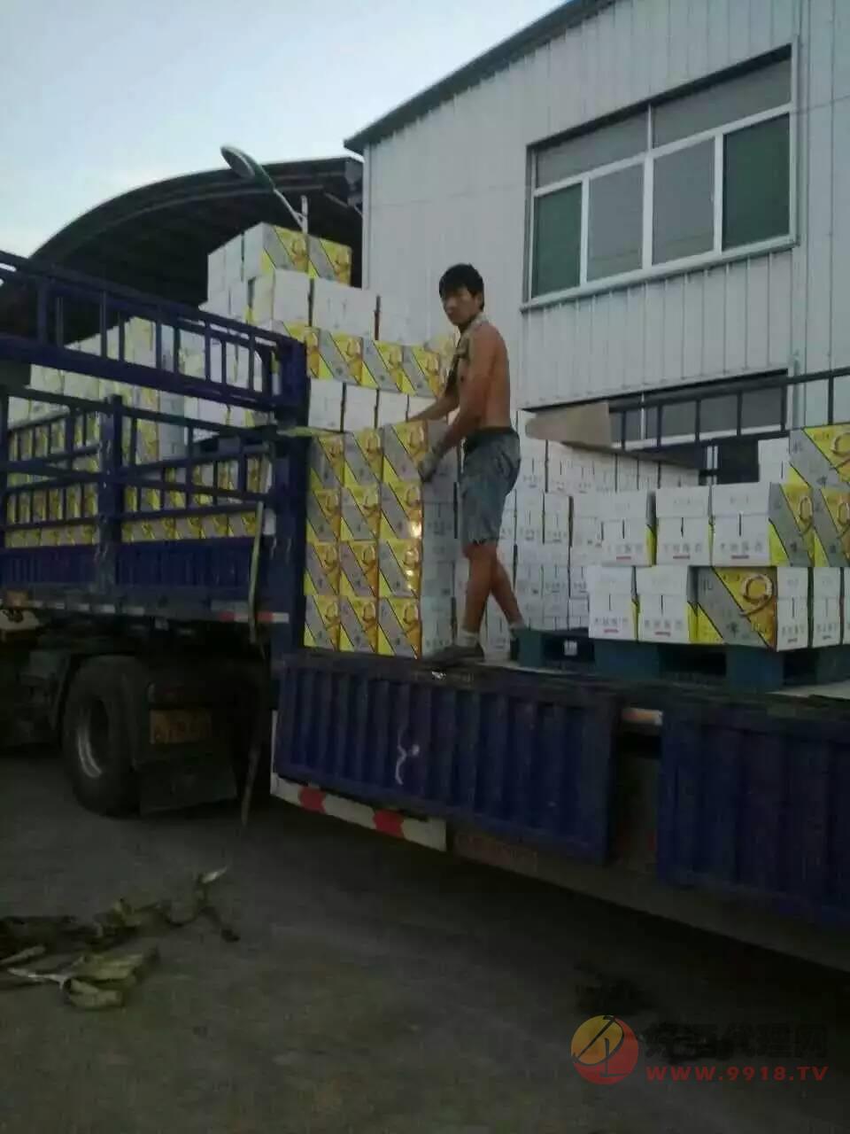 849598211330365550