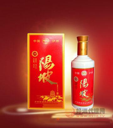 46度阳坡酒10年500ml