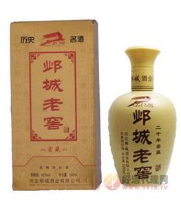 品质典范二十年窖藏酒瓶装