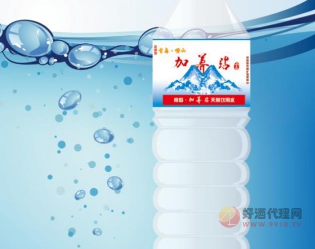 加养站矿泉水500ml