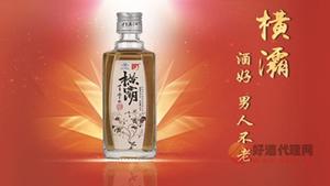 万泰横灞养生酒1