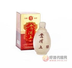 嵩酒王45°特香型白酒480ml