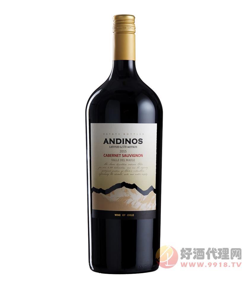 安第斯珍藏卡本尼苏维翁红葡萄酒 1.5L