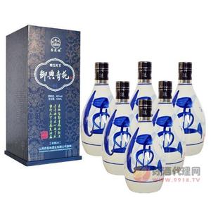 48°山西杏苑林御典青苑青花瓶清香商务白酒475mL