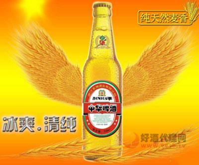 梦想中华啤酒330ml