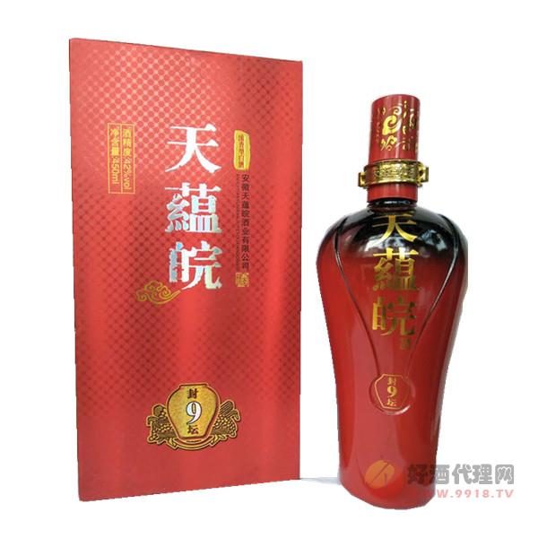 天蕴皖封坛9年 450ml
