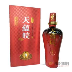 天蕴皖封坛9年 450ml