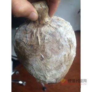 贵州十五年洞藏老坛一斤装