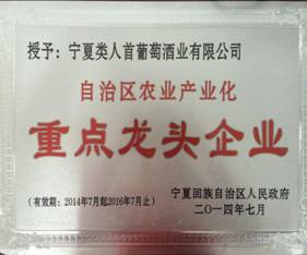 重点龙头企业