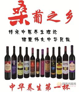 桑普养生酒