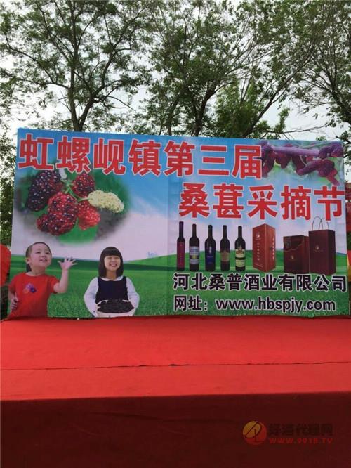 桑葚采摘基地
