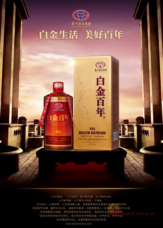 53°白金百年M6